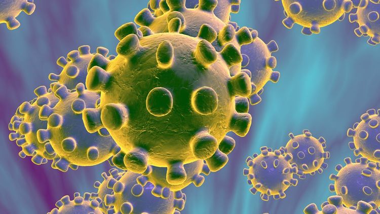 First coronavirus death in Belgium