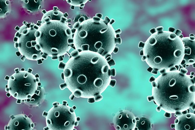 Algeria confirms first coronavirus death