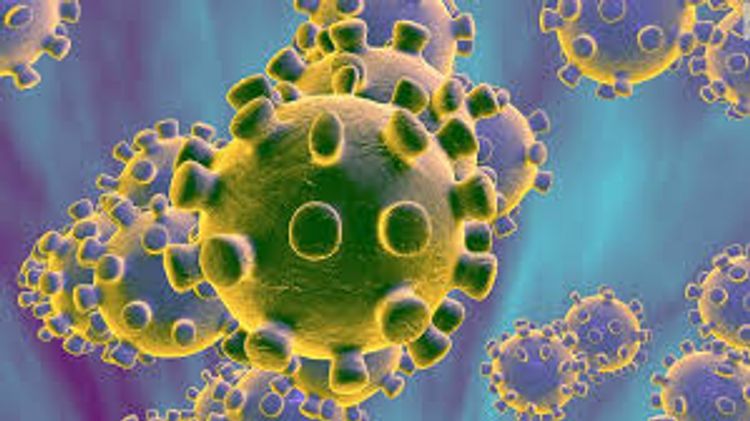 Australian Home Affairs Minister tests positive for coronavirus