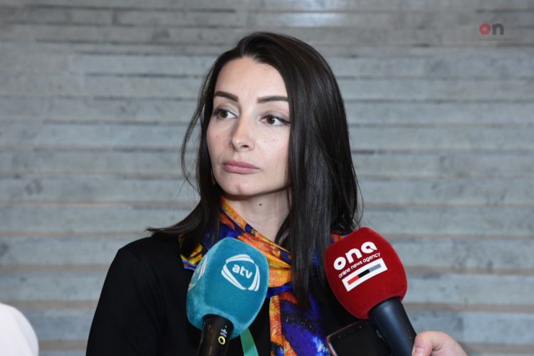 Leyla Abdullayeva: "Vəziyyətin gərginləşməsinə görə məsuliyyəti tam şəkildə Ermənistan daşıyacaq”