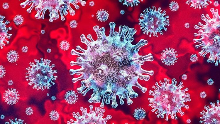 Niderlandda koronavirusla mübarizə çərçivəsində yeni kəşf edilib
