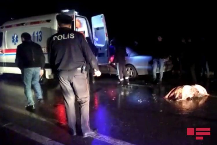 В Ширване автомобиль сбил насмерть 82-летнюю женщину - ФОТО
