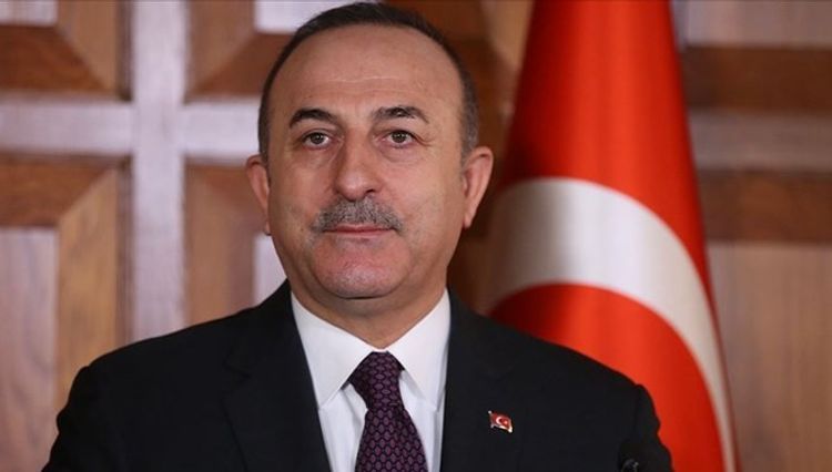 Чавушоглу назвал число граждан Турции, которые будут эвакуированы из Европы