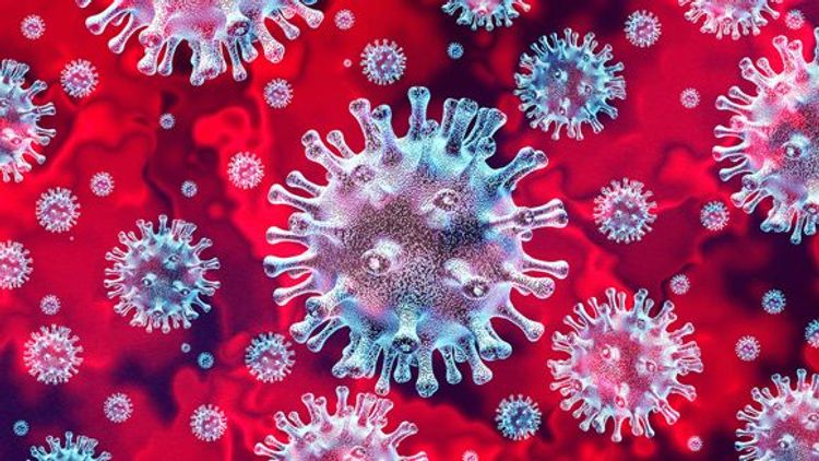 Pakistan reports first death from coronavirus
