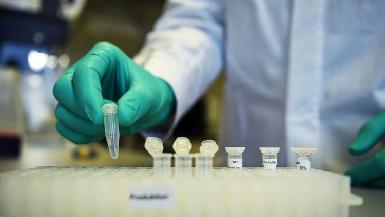 Russia begins testing potential coronavirus vaccine