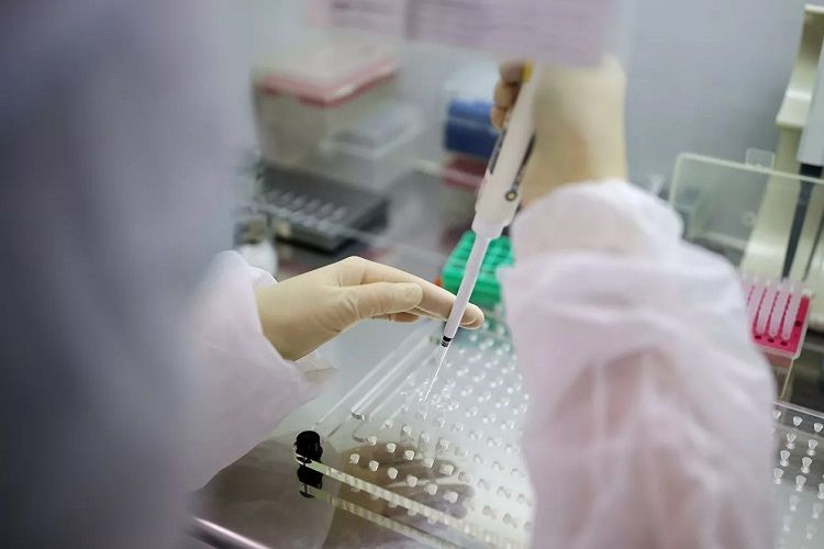 В Китае выздоровели почти 90% зараженных коронавирусом