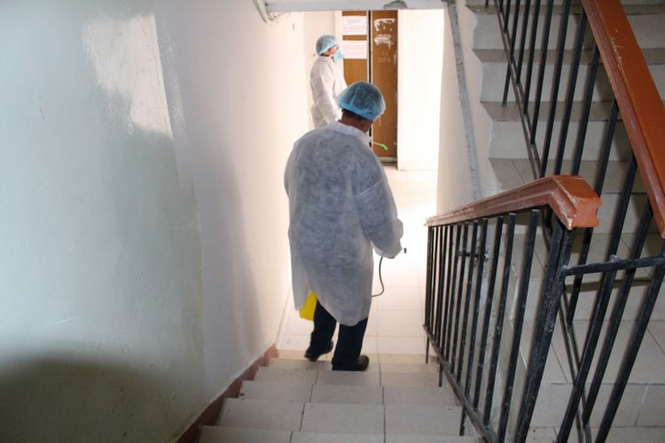 Səbail rayonunda yerləşən kooperativ binalarda dezinfeksiya işlərinə başlanılıb