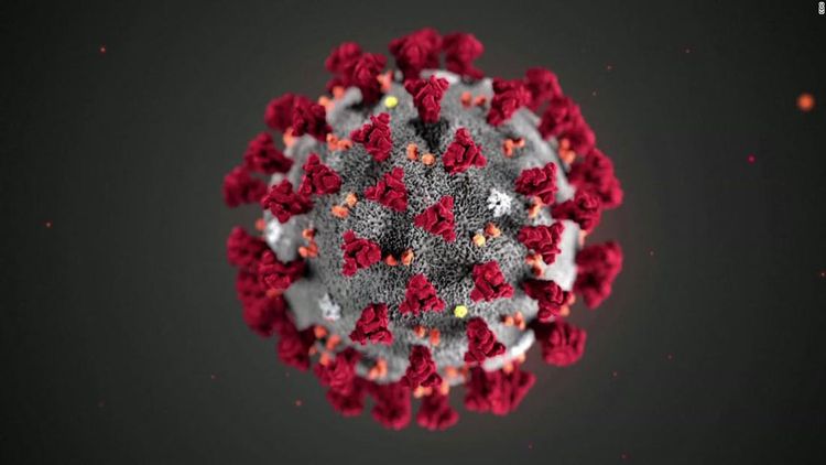 Iceland finds 40 coronavirus mutations, causing fears of new pandemic prospects