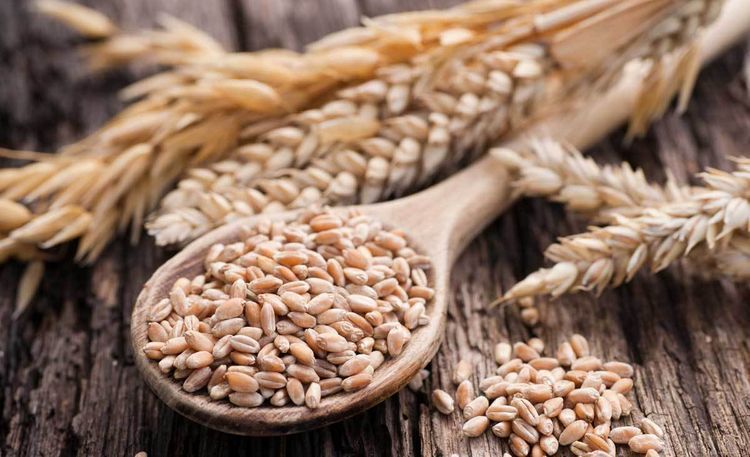 Azerbaijan sharply reduced wheat import this year