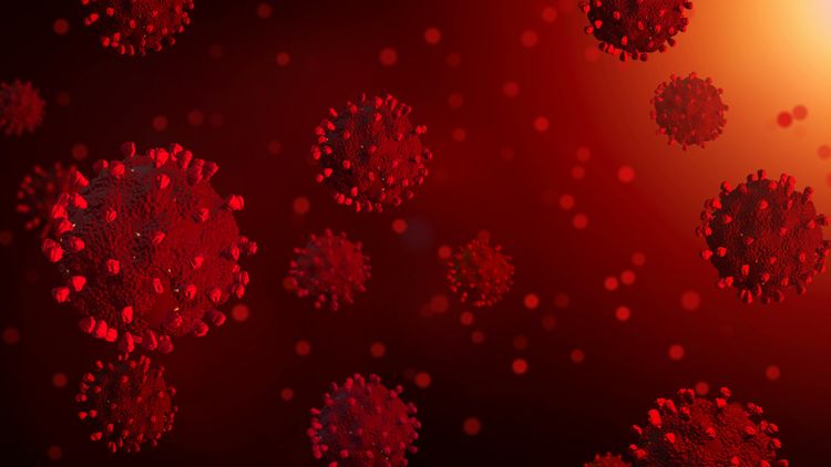 UK cannot confirm when coronavirus antibody test will arrive