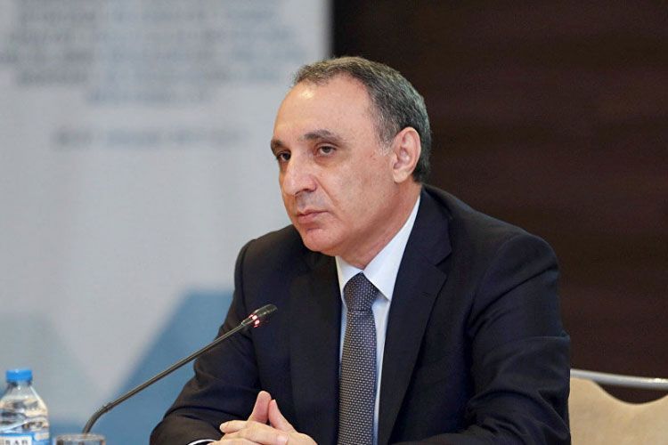 Kamran Aliyev expresses gratitude to Azerbaijani President and Milli Majlis