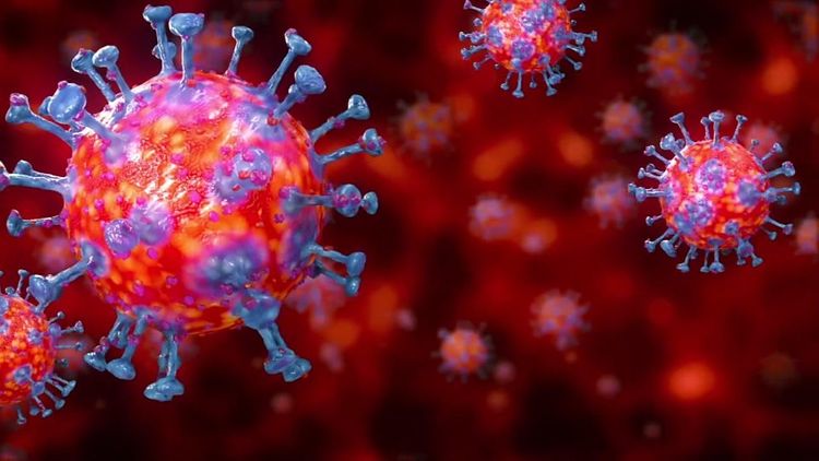16 new coronavirus cases take total to 582 in Georgia