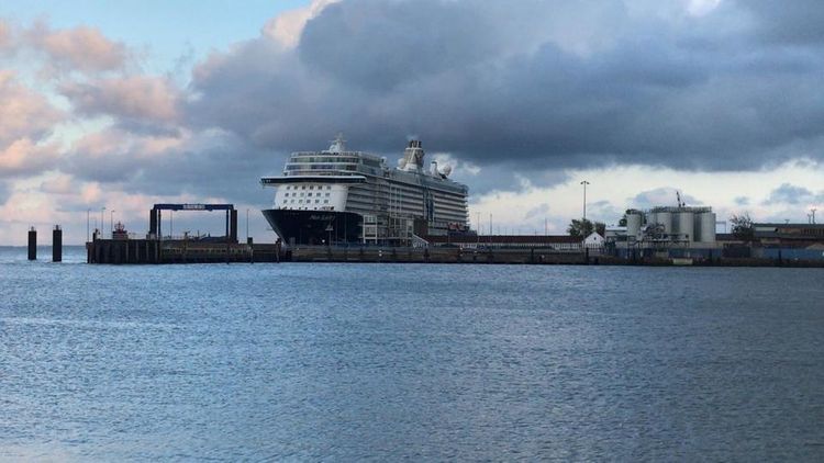 Cruise ship quarantined in German port after crew member tests positive for COVID-19 - VIDEO