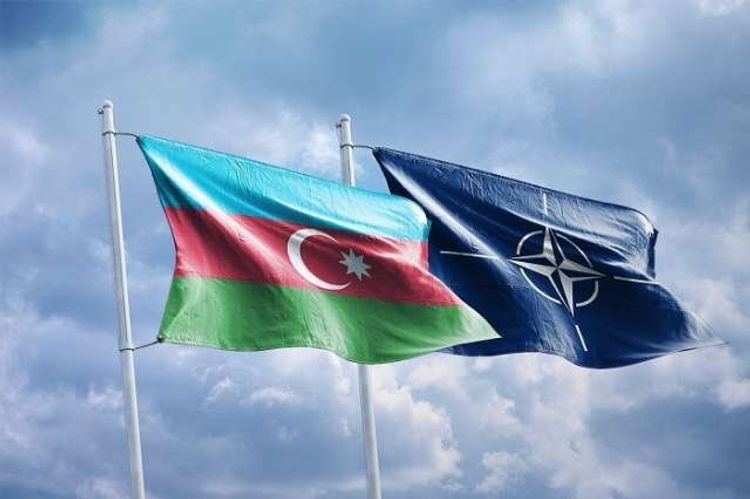 XİN: Azərbaycan NATO ilə əməkdaşlığı davam etdirməkdə qərarlıdır