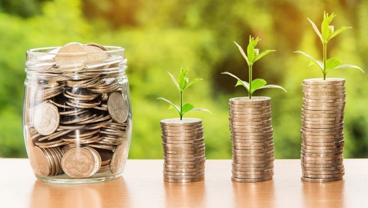 Azərbaycanda kənd təsərrüfatının kreditləşməsi 11% artıb