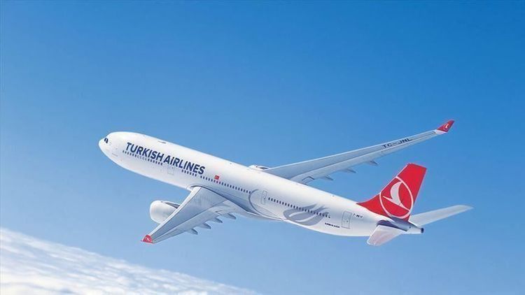 Turkish Airlines eyes resuming flights as of June