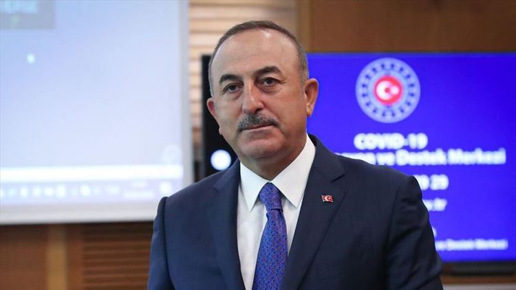 Turkish FM: "Turkey delivered supplies to fight virus to 60+ countries"