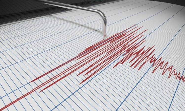 Magnitude 5.1 quake hits western Iran