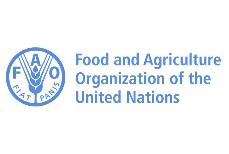 FAO: Dünyada ərzaq qiymətləri azalıb