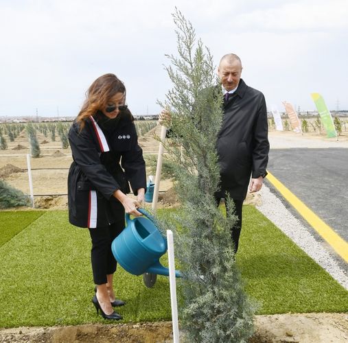 President Ilham Aliyev and first lady Mehriban Aliyeva planted tree on the occasion of national leader Heydar Aliyev’s birth anniversary