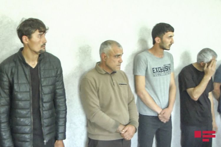 В Ширване полиция задержала 7 человек, занимавшихся незаконным оборотом наркотиков