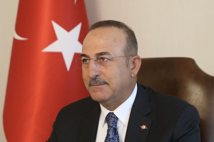 UNSC failed to pass a single coronavirus resolution, FM Çavuşoğlu says