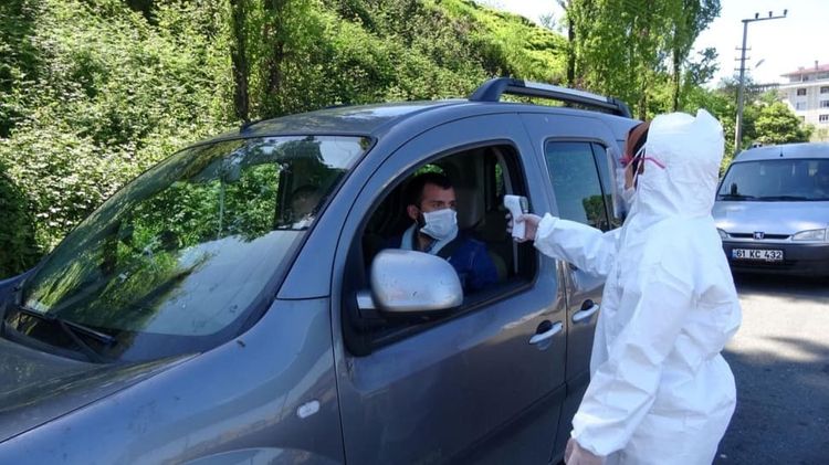 Pandemiya səbəbindən Türkiyədə yaşıl çay plantasiyalarında işçi çatışmır