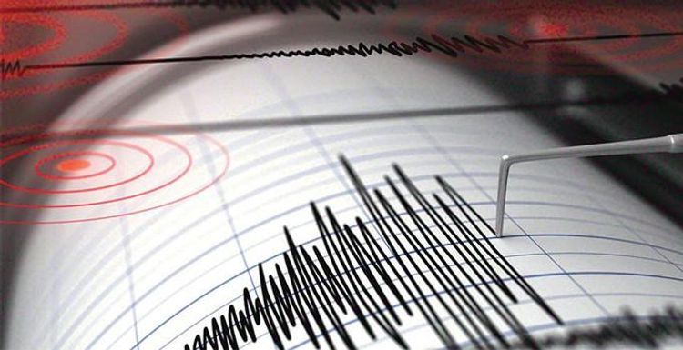 У берегов Новой Зеландии произошло землетрясение магнитудой 5,6