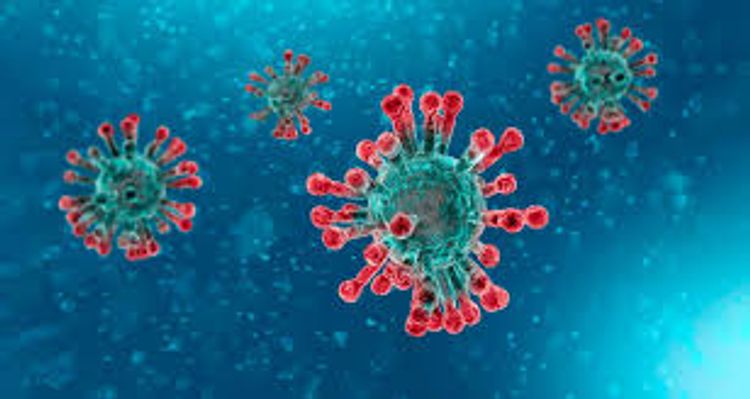 Ukraine reports 477 new coronavirus cases in past day, overall number exceeds 22,000