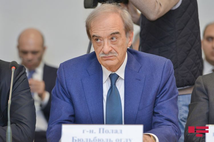 Polad Bülbüloğlu: "Rusiya-Azərbaycan sərhədində toplaşanların vətənə qayıtmasına çalışırıq" 