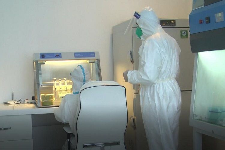 Обнародована последняя ситуация с коронавирусом в Азербайджане