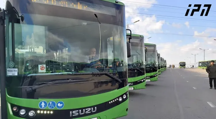 Municipal transport services resumed in Georgia