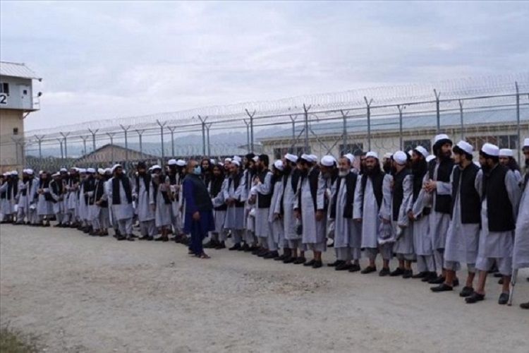 В Афганистане освободили более 700 талибов