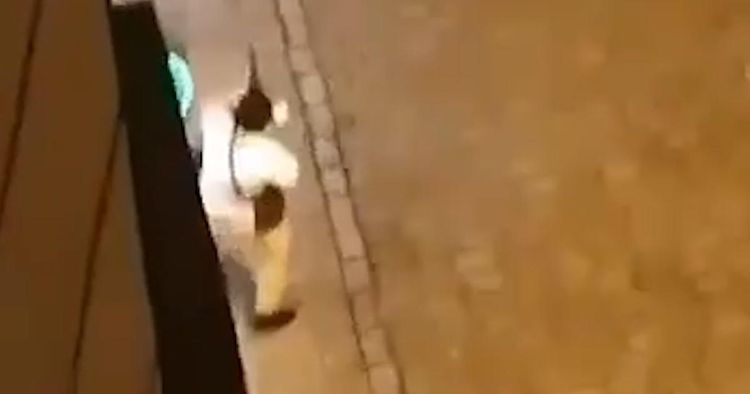 Появилось видео нападения террористов в Вене - ВИДЕО