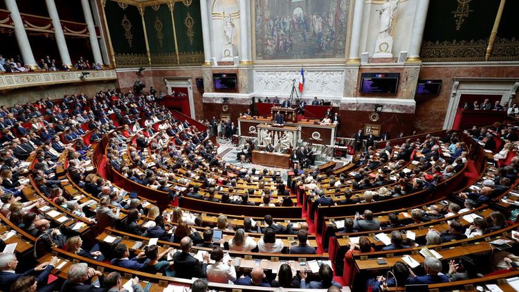 Французский депутат: Резолюции о признании «НКР» не подразумевают автоматических действий со стороны правительства Франции