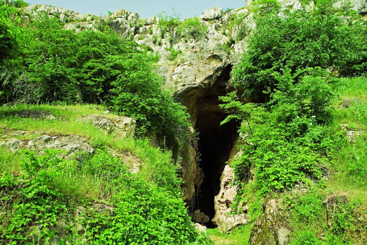 Археологические находки из Азыхской пещеры доставлены в Баку 