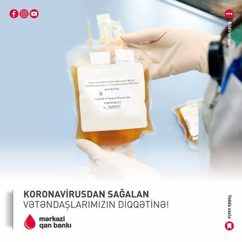 Банк крови: Вылечившиеся от коронавируса лица могут стать донорами для пациентов в тяжелом состоянии 