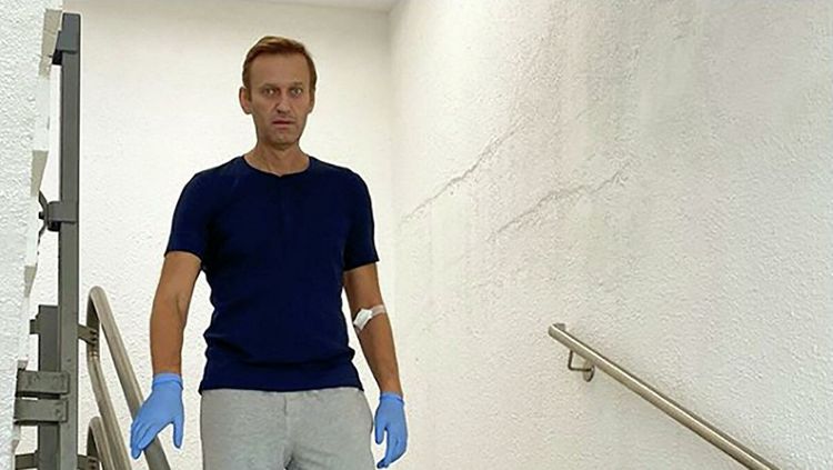 Пять стран Европы обратились к России в СБ ООН по ситуации с Навальным