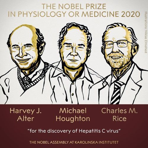 Объявлены имена победителей Нобелевской премии в области физиологии и медицины