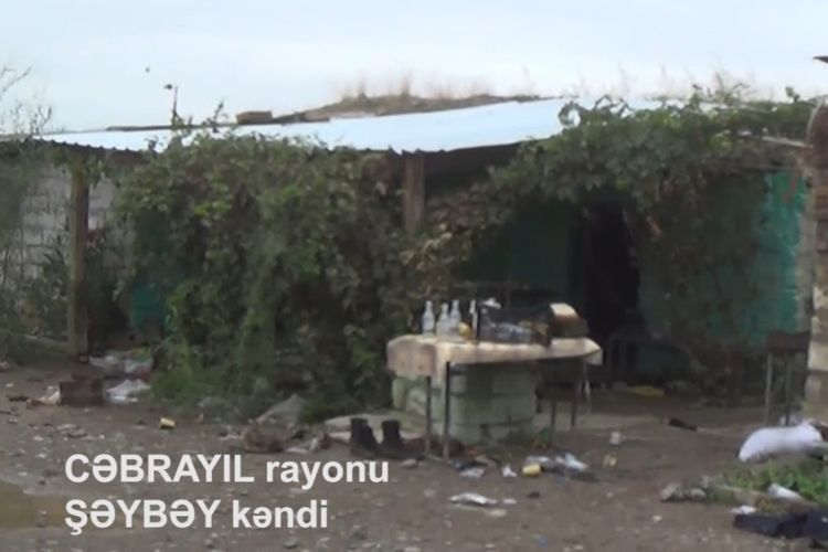 Кадры из освобожденного от оккупации села Шейбей Джабраильского района – ВИДЕО 