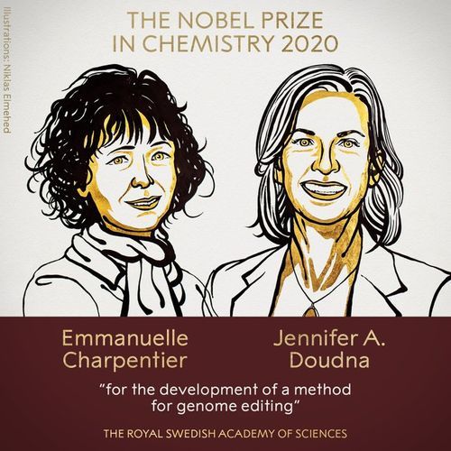 Winners of 2020 Nobel Prize in Chemistry announced