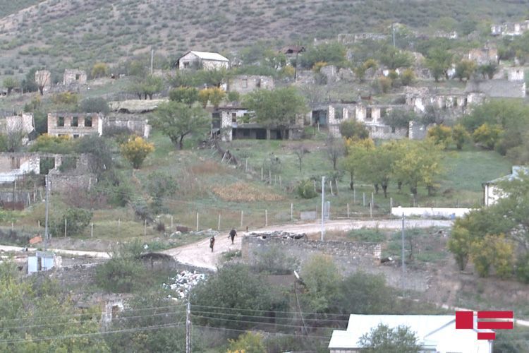 Talish - village liberated from occupation  - REPORTAGE