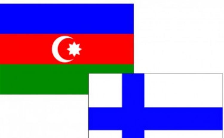 Перед парламентом Финляндии проведена акция в поддержку Азербайджана