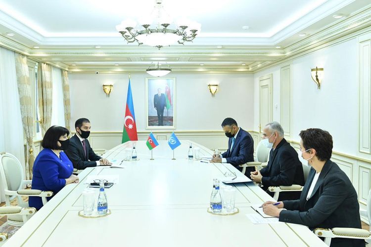 Speaker of Azerbaijani Parliament meets with UN Resident Coordinator in Azerbaijan