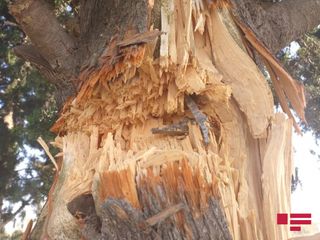 Ermənilərin atdığı top və raket mərmiləri Ağdam və Tərtərin kənd məzarlıqlarını dağıdıb - FOTO