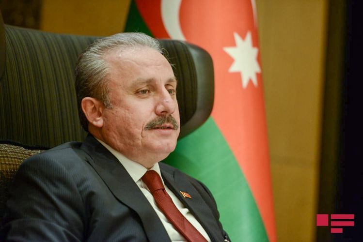 Speaker of Turkish Parliament: “Battle carried out by Azerbaijan, followed with excitement in Turkey”