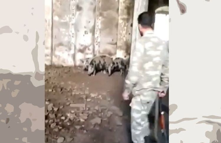 Ukrainian media wrote about Armenians turned mosque into pigsty in Zangilan city