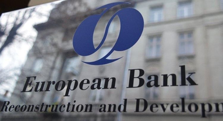 Azərbaycanın qida istehsalıçısı AYİB-dən 7 mln. manat kredit cəlb edib