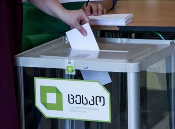 Депутаты Милли Меджлиса наблюдают за ходом парламентских выборов в Грузии