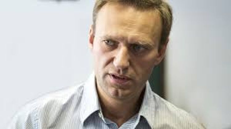 Генпрокуратура РФ запросила результаты анализов Навального у Германии
